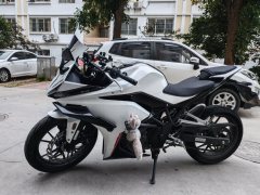 Kayo 250RR Thornbird - ფოტო 2