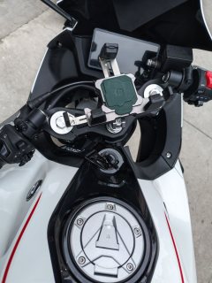 Kayo 250RR Thornbird - ფოტო 3