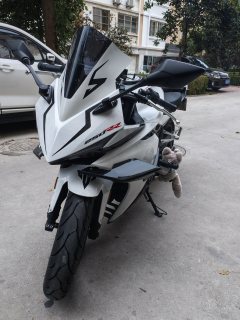 Kayo 250RR Thornbird - ფოტო 5