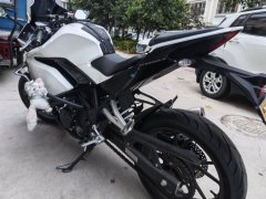 Kayo 250RR Thornbird - ფოტო 6