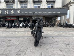 Benelli Lion Cub Leoncino 500 - photo 4