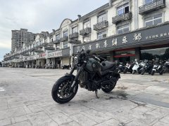 Benelli Lion Cub Leoncino 500 - photo 5