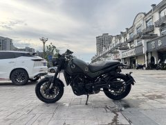 Benelli Lion Cub Leoncino 500 - photo 6