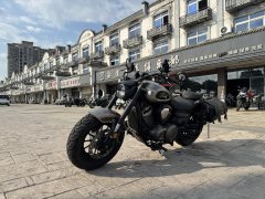 Benda Chinchilla 450 - photo 5