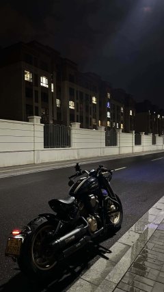 Benda Napoleon 450 - ფოტო 1
