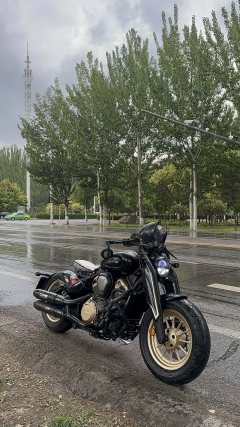 Benda Napoleon 450 - ფოტო 3