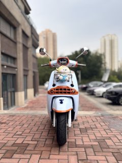 Weiduoliya Sixties 150Si - ფოტო 1