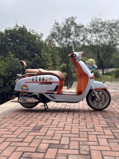 Weiduoliya Sixties 150Si - ფოტო 5