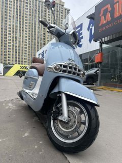 Weiduoliya Sixties 300i - photo 2