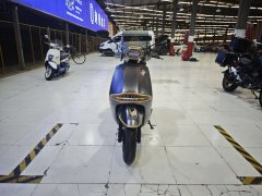 Weiduoliya Seventies 150i - ფოტო 2