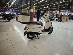 Sundiro Honda NS125LA - ფოტო 6