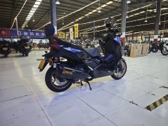 Yamaha XMAX 300 cc - ფოტო 6