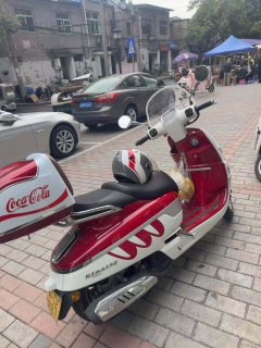 Nanfnag Monica Lisa Feigo 150 cc - ფოტო 4