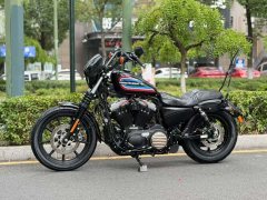 Harley-Davidson lron 1200 - фото 4