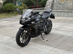 Haojue Suzuki GSX250R - ფოტო 5