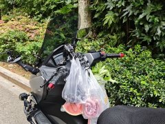 Cyclone Ruitu RT3 250 cc - ფოტო 4