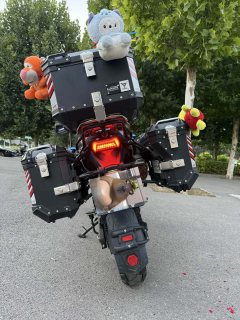 Voge DS525 500 cc - ფოტო 5