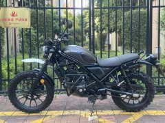 Honda CL300 - ფოტო 6