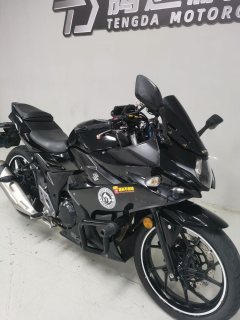 Haojue Suzuki GSX250R - ფოტო 7