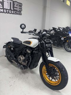Cyclone AQS401 400 cc - ფოტო 5