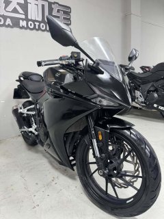 Kayo 250RR Thornbird - ფოტო 5
