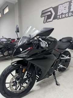 Kayo 250RR Thornbird - ფოტო 6