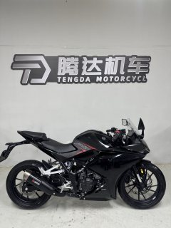Kayo 250RR Thornbird - ფოტო 7