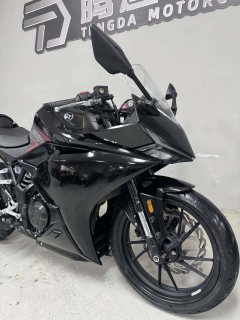 Kayo 250RR Thornbird - ფოტო 8