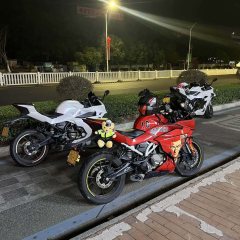 CFMOTO 250SR - ფოტო 3