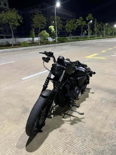 Harley-Davidson Iron883 Tough Guy - ფოტო 12