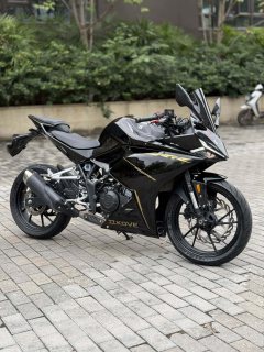 Kayo 250RR Thornbird - ფოტო 1