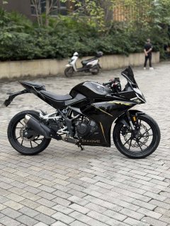 Kayo 250RR Thornbird - ფოტო 2