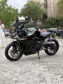Kayo 250RR Thornbird - ფოტო 6