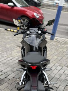 Kayo 250RR Thornbird - ფოტო 7