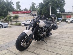 Benda Graystone 250 - ფოტო 5