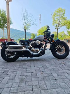 Zeths V250 Edition - ფოტო 4