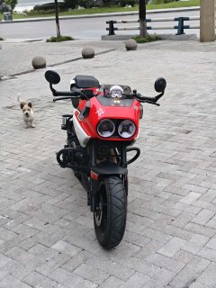 CFMOTO Papio XO-1 125 cc - ფოტო 1