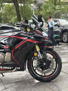 QJMOTOR Sai 600 - ფოტო 9