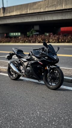 Haojue Suzuki GSX250R - фото 3