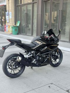 Kayo 250RR Thornbird - ფოტო 2