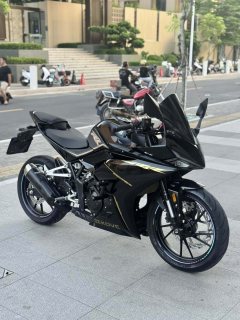 Kayo 250RR Thornbird - ფოტო 3
