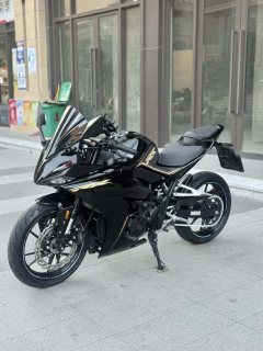 Kayo 250RR Thornbird - ფოტო 7