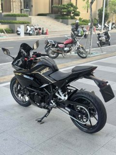 Kayo 250RR Thornbird - ფოტო 8