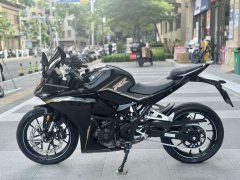 Kayo 250RR Thornbird - ფოტო 9