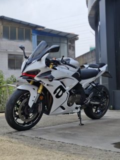 QJMOTOR Sai 600 - photo 4