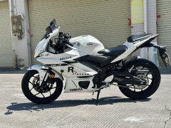 Yamaha YZF-R3 320 cc - ფოტო 5