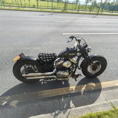 Thunder Beast Lightning Soft Tail Edition 250 cc - ფოტო 2