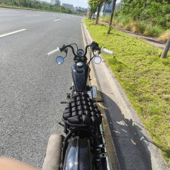 Thunder Beast Lightning Soft Tail Edition 250 cc - ფოტო 3