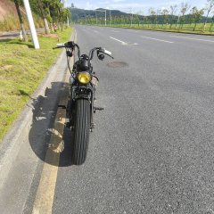 Thunder Beast Lightning Soft Tail Edition 250 cc - ფოტო 4