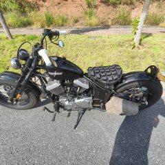 Thunder Beast Lightning Soft Tail Edition 250 cc - ფოტო 5